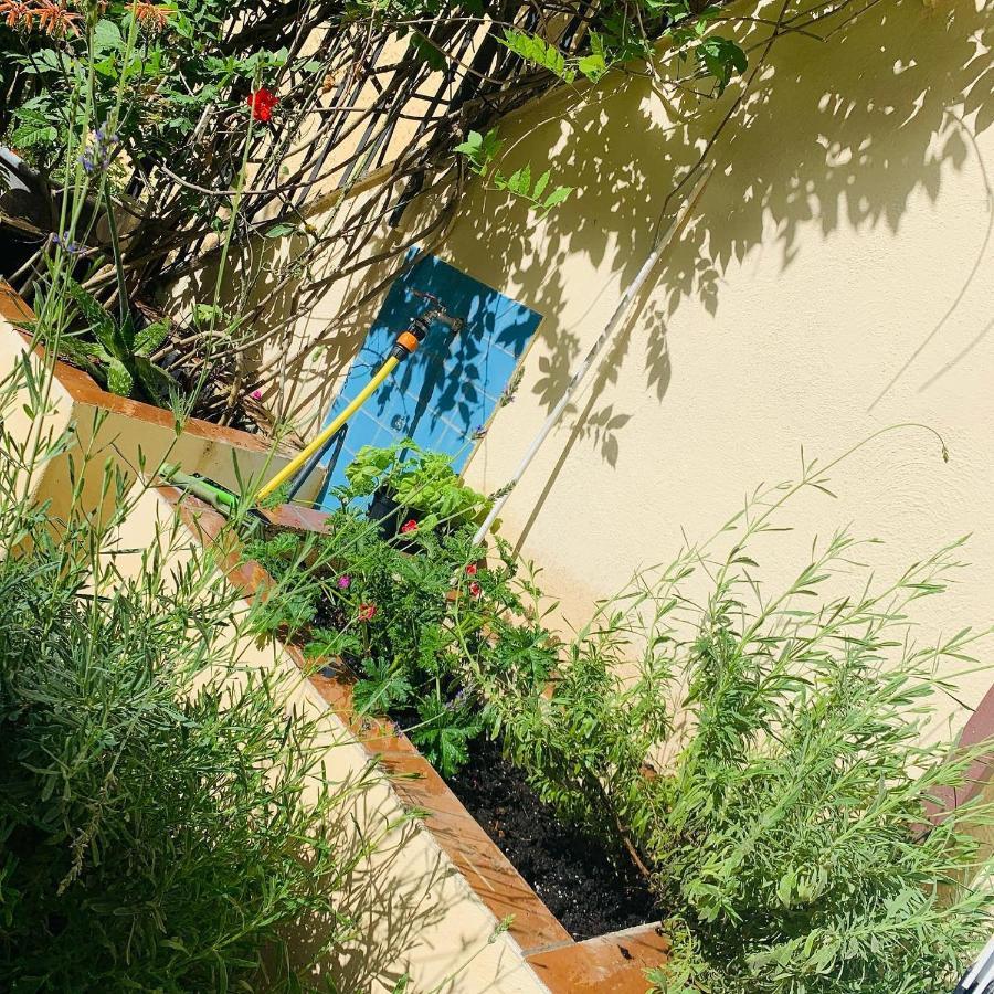 Hotel La Finestra Nel Giardino Neapol Exteriér fotografie